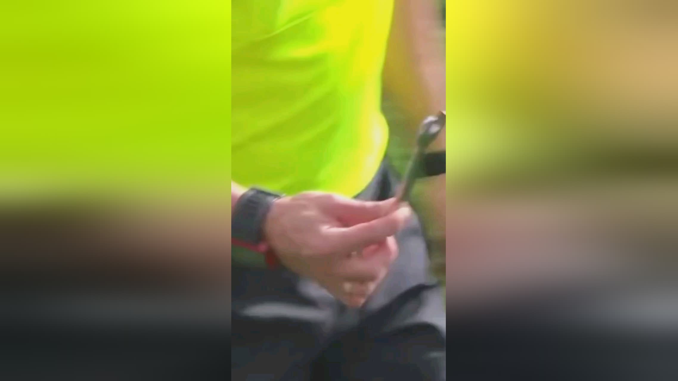 充足的联赛