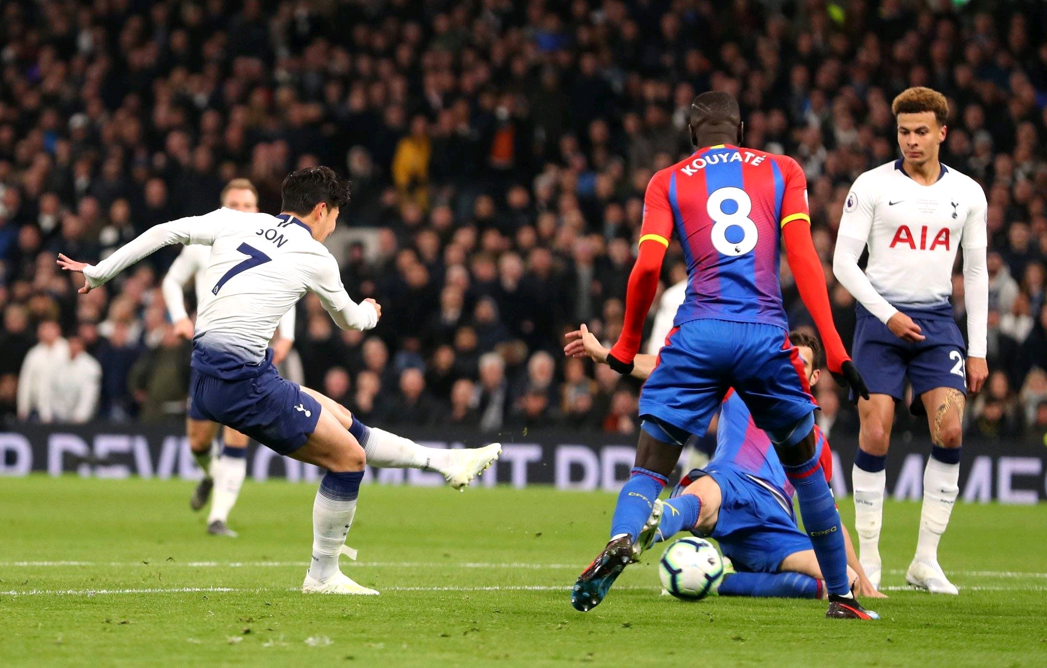 刻意选择了 刻意选择了